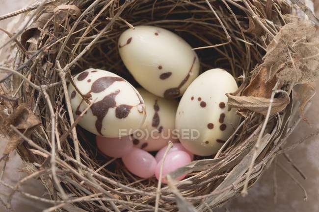 Ovos de chocolate picados — Fotografia de Stock