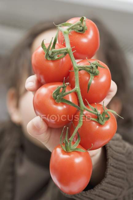 Ragazza che tiene pomodori — Foto stock