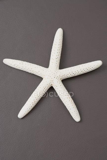 Vista superior de uma estrela-do-mar na superfície marrom — Fotografia de Stock