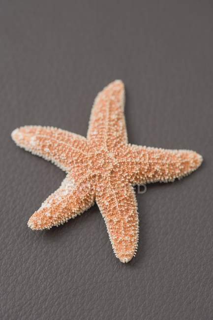 Vista superior de uma estrela-do-mar na superfície marrom — Fotografia de Stock