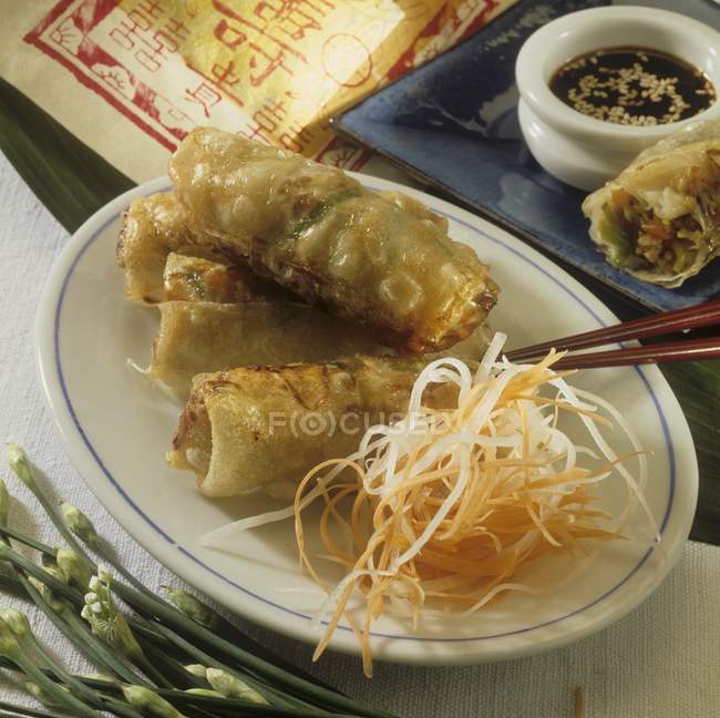 Spring rolls with rice filling — Stock Photo
