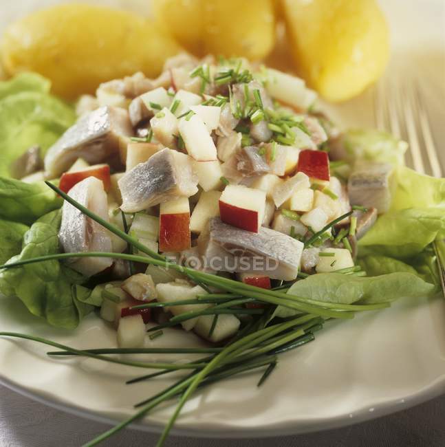 Салат из сельди с картошкой — стоковое фото
