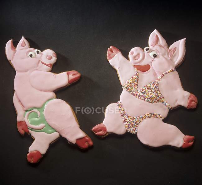 Vista close-up de dois porcos doces dançando — Fotografia de Stock