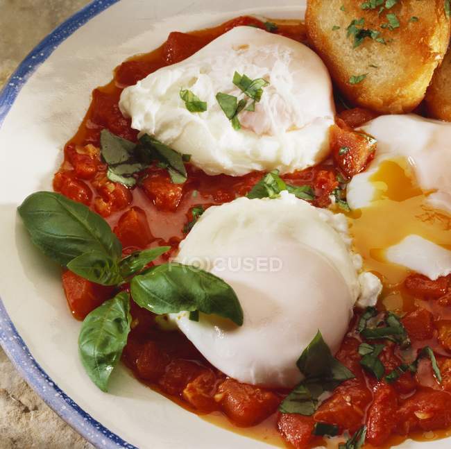 Poached eggs in sugo — Stock Photo