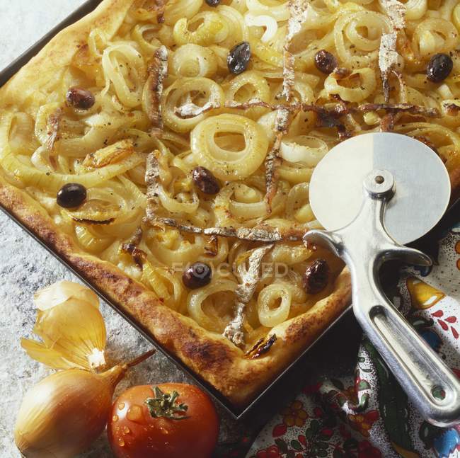 Onion pizza with anchovies — Stock Photo