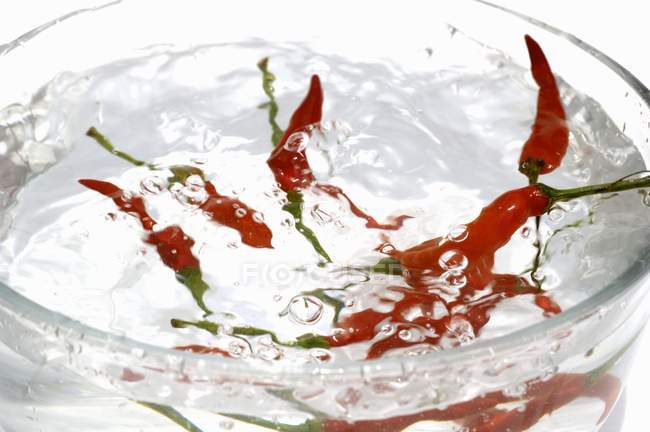 Chilischoten thai red — Stockfoto