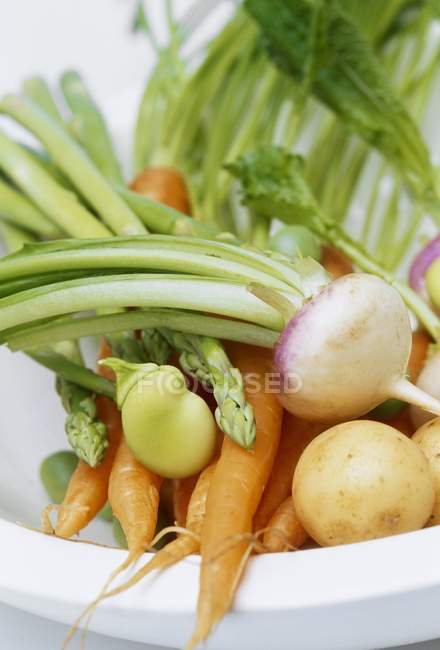 Spring vegetables in a white dish on white background — Stock Photo