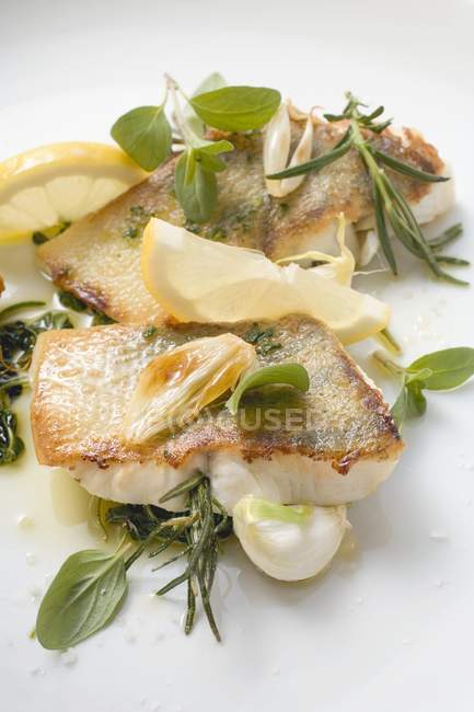 Fried zander pieces with herbs — Stock Photo