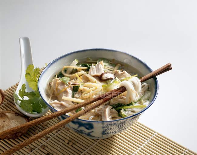 Closeup view of Chinese chicken soup with noodles — Stock Photo