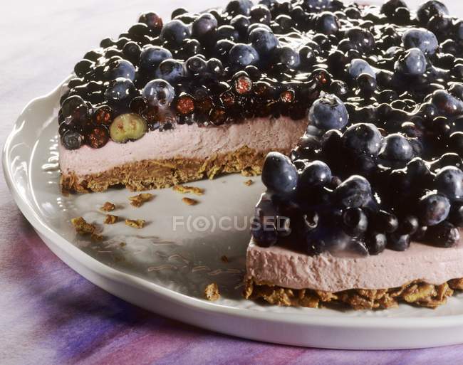 Черничный йогуртовый пирог — стоковое фото