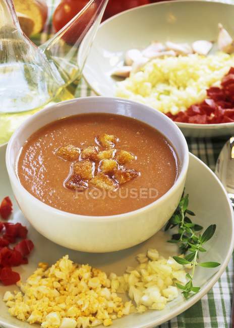 Іспанська холодний овочевий суп приготування гаспачо — стокове фото
