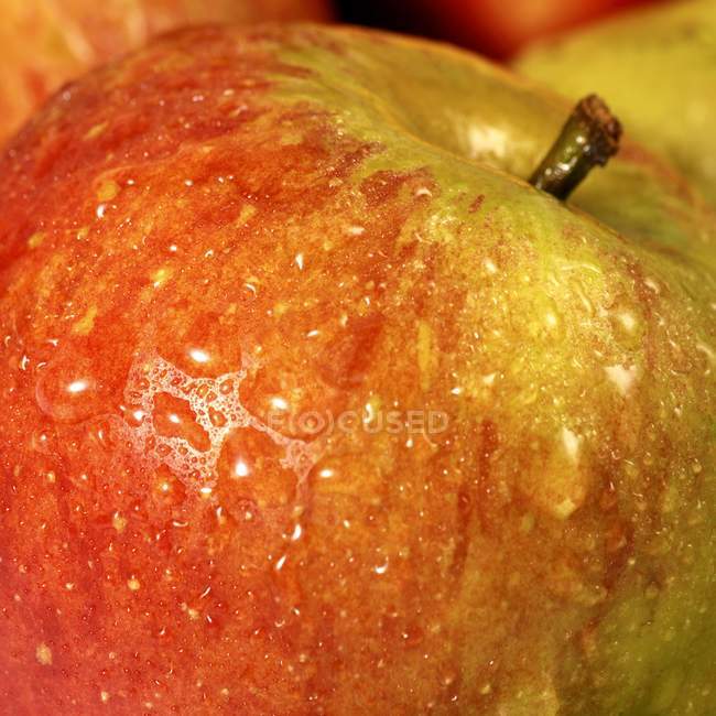Свежее спелое яблоко — стоковое фото