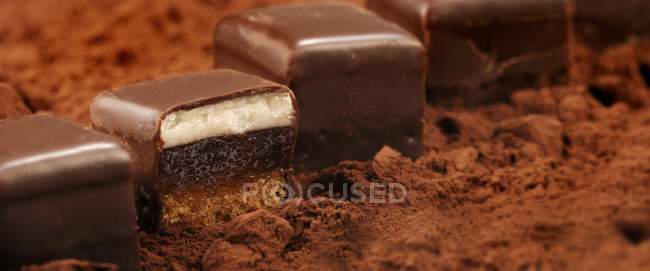Chocolate squares on powder — Stock Photo