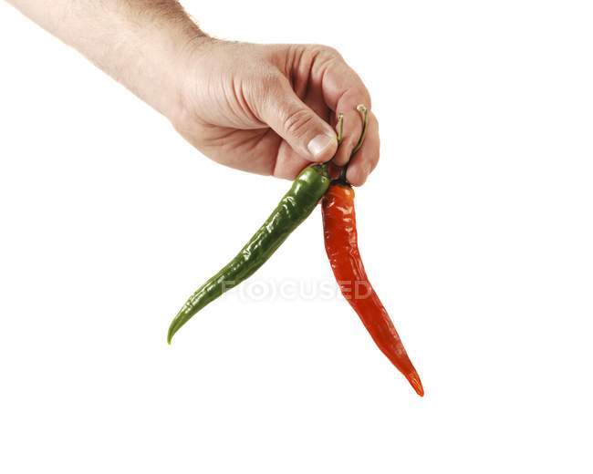 Hand holding chillies — Stock Photo