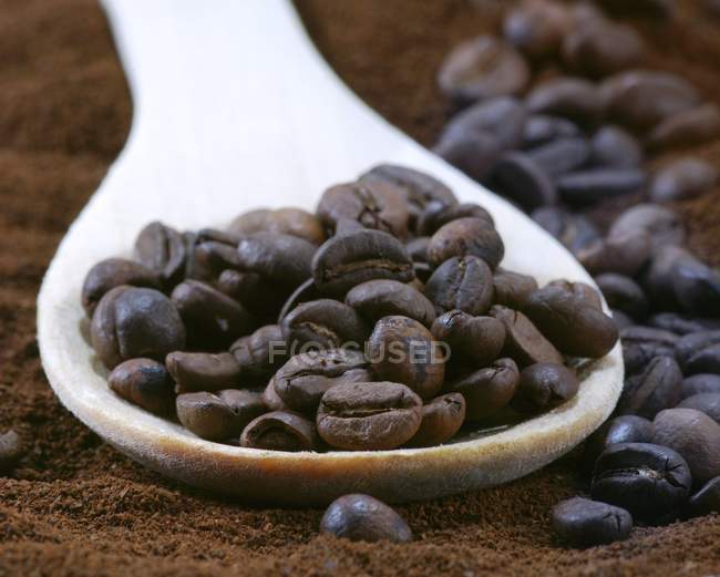 Кофейные зерна на деревянной ложке — стоковое фото