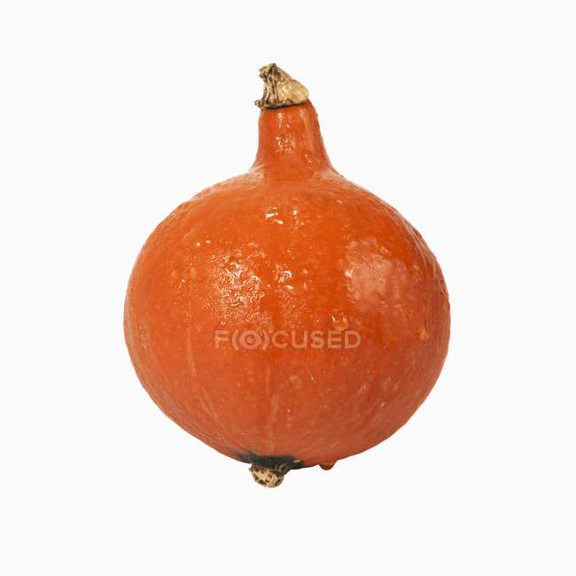 Ripe Hokkaido pumpkin — Stock Photo