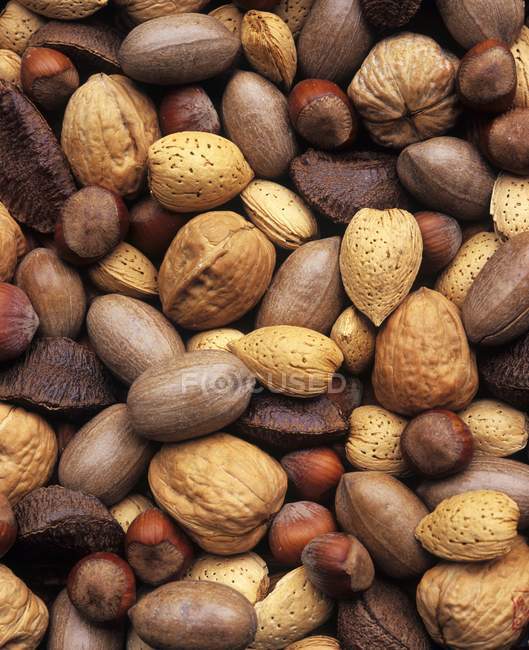 Verschiedene Nüsse mit Schale — Stockfoto