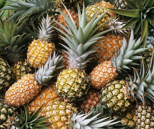Ripe and unripe pineapples — Stock Photo