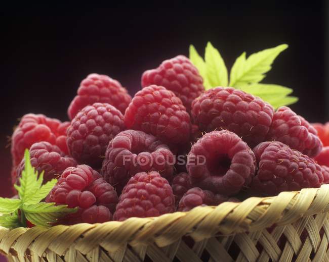 Framboesas maduras frescas — Fotografia de Stock