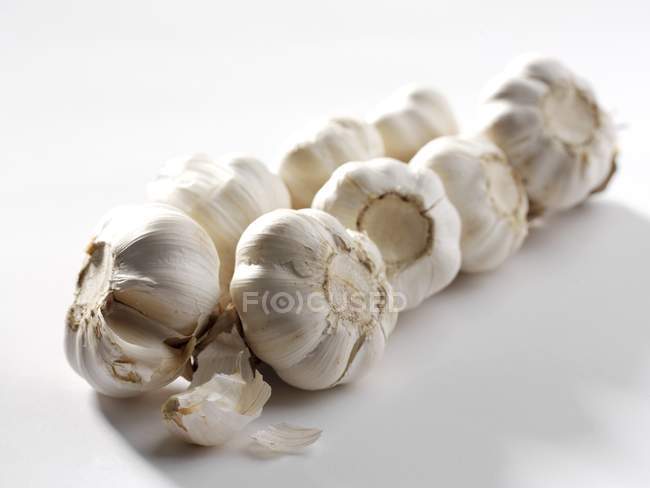 Corda di aglio fresco — Foto stock