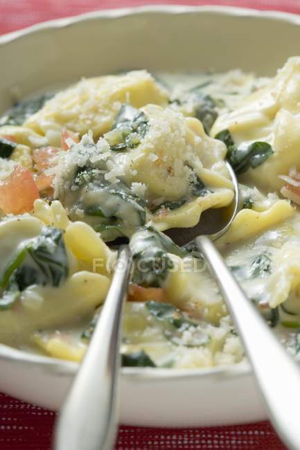 Pasta with spinach and cream sauce — Stock Photo