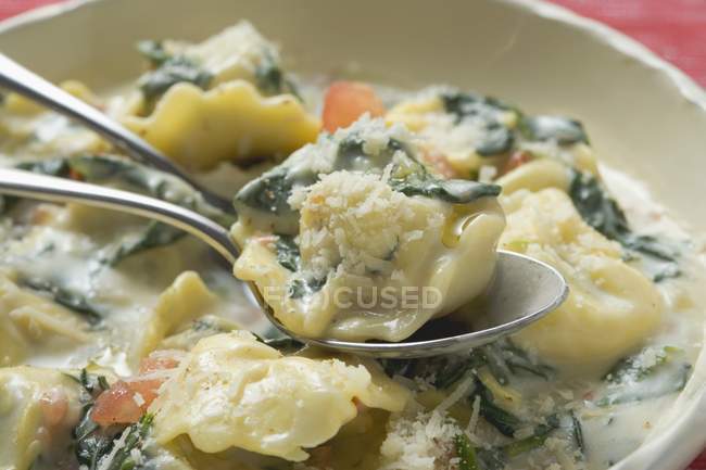 Tortellini pasta with spinach and sauce — Stock Photo