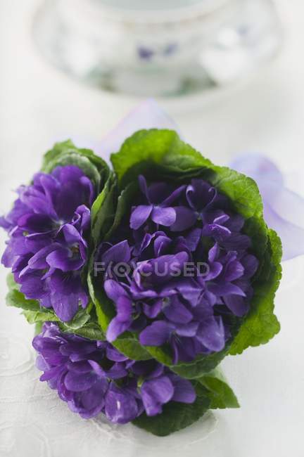 Closeup view of bunch of violets with leaves — Stock Photo