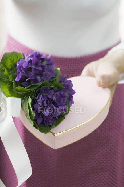 Closeup view of woman holding bunch of violets with heart-shaped gift box — Stock Photo
