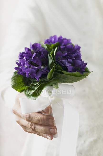 Vista close-up de mão feminina segurando monte de violetas — Fotografia de Stock