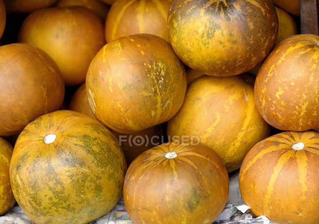 Melones amarillos maduros - foto de stock