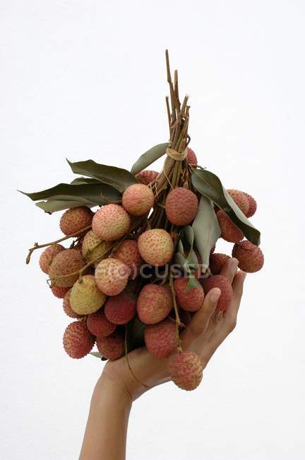 Female hand holding bunch of Lychees — Stock Photo