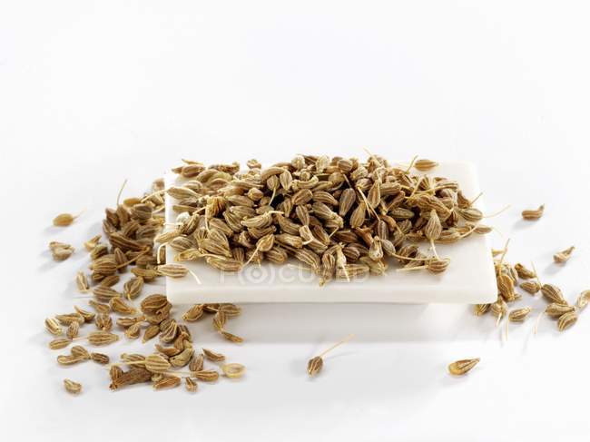 Closeup view of aniseed sprouts on white board — Stock Photo
