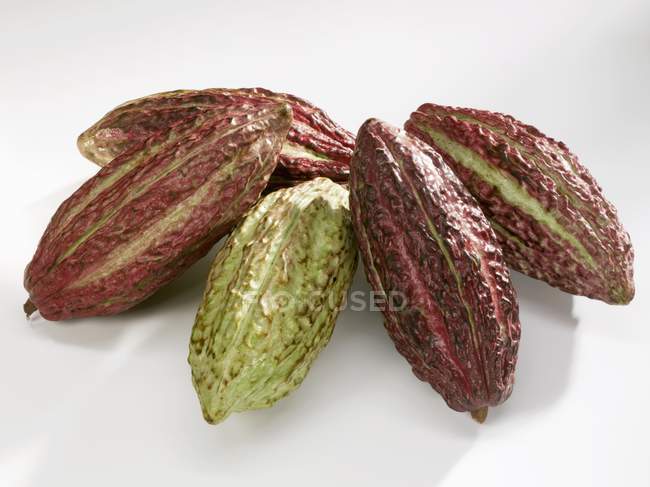 Frutas frescas de cacao - foto de stock