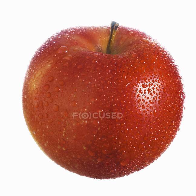Свіже стигле червоне яблуко — стокове фото