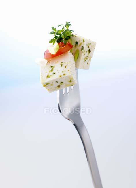 Tofu de hierbas con tomate y cebolla - foto de stock