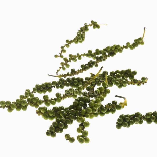 Grappes de grains de poivre vert frais — Photo de stock