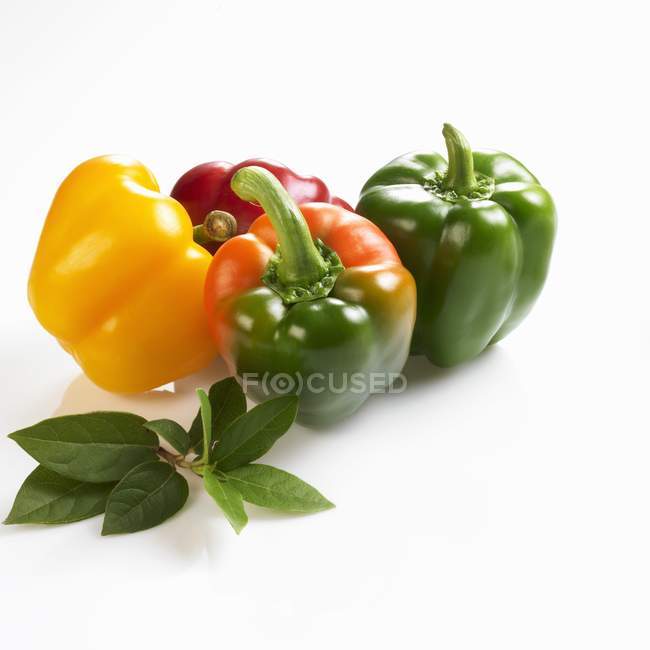 Fresh ripe bell peppers — Stock Photo