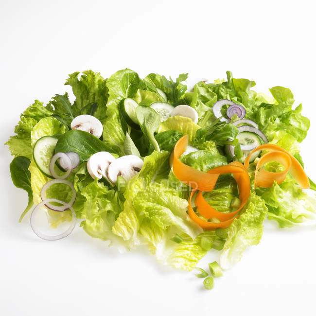 Salade mixte avec champignon bouton — Photo de stock