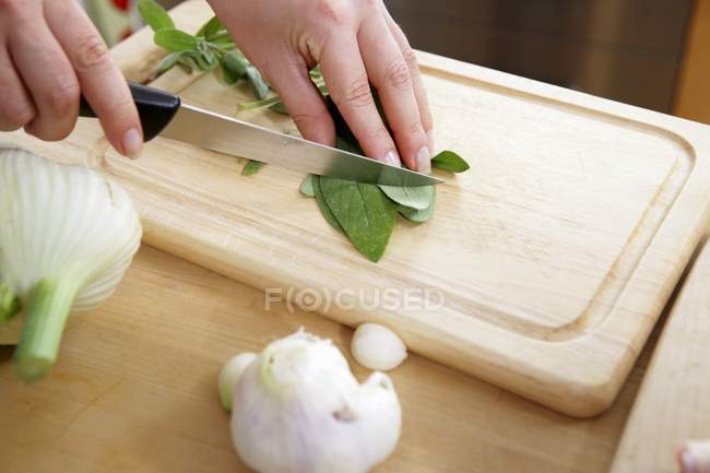 Vista recortada de las manos cortando hojas de salvia con un cuchillo - foto de stock