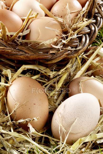 Huevos en paja y cesta - foto de stock