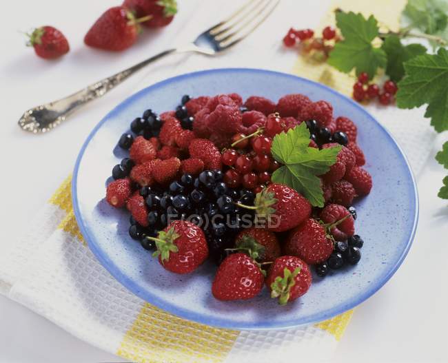 Fresh berries on plate — Stock Photo