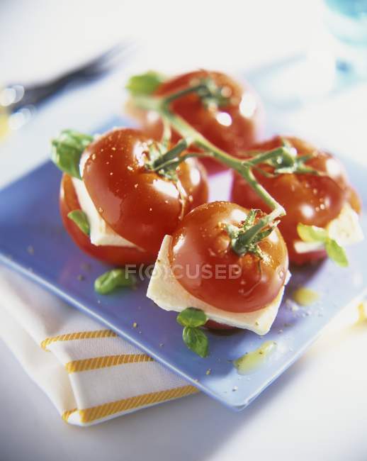 Tomates de videira recheados com mussarela e manjericão — Fotografia de Stock