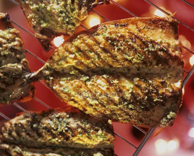 Gegrillte Makrele mit Kräutern und Knoblauch auf Drahtgestell — Stockfoto