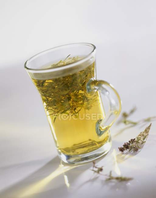 Timo tè in vetro — Foto stock