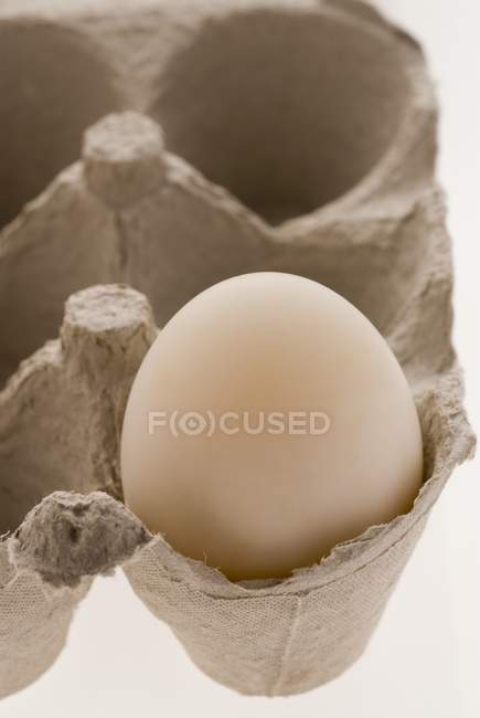 Egg in cardboard box — Stock Photo