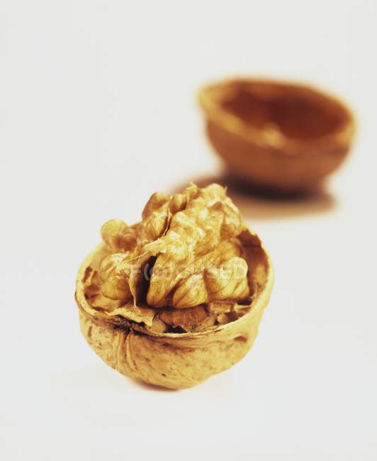 Открытый орех в скорлупе — стоковое фото