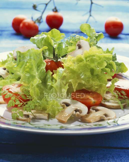Салат из помидоров и грибов на белой тарелке за столом — стоковое фото