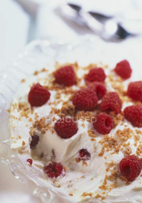 Closeup view of raspberry quark with crunchy crumb topping — Stock Photo