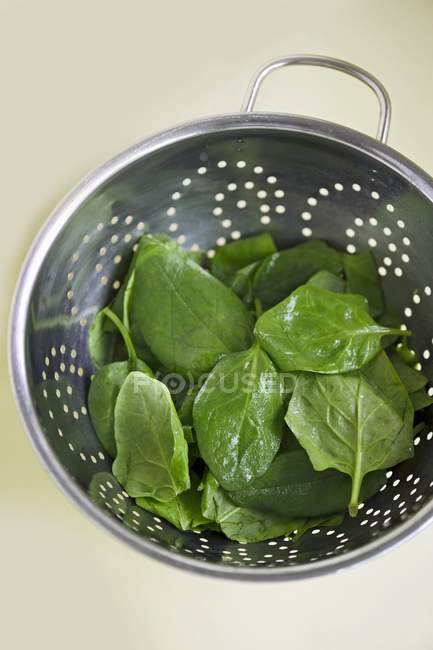 Spinach leaves in colander — Stock Photo