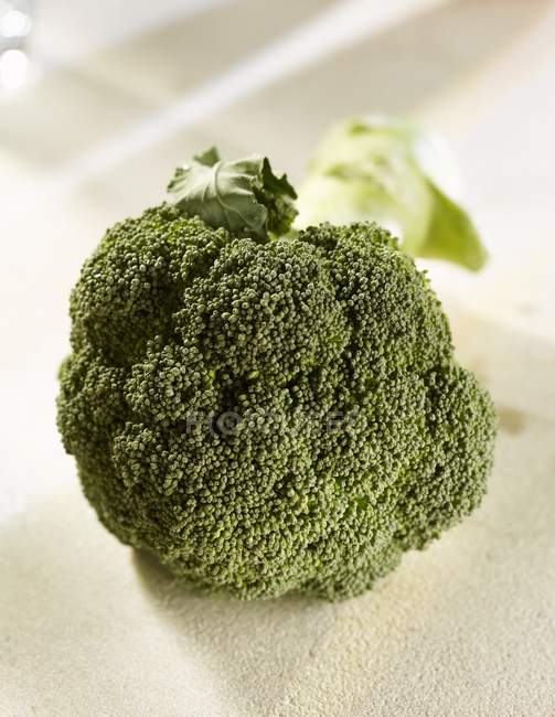 Fresh Green Broccoli — Stock Photo